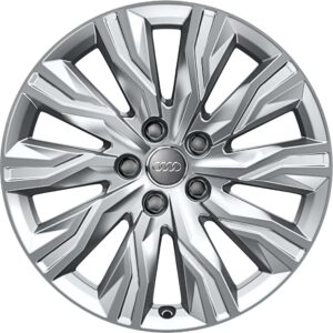 Audi 10 Arm Gravis Wheels
